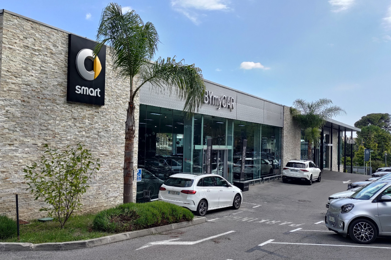 Autobiz Smart